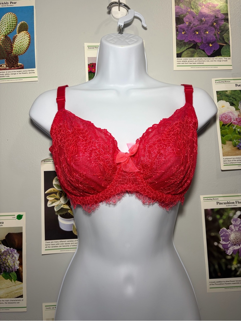 Victoria's Secret Red Lace Underwire Lace Bra with Bow Accent